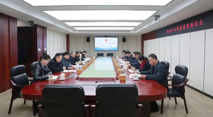 听代表心声 谋发展良策 聚奋进之力