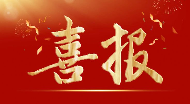 喜报 | 江汉区检察院一模型获评全省“优胜模型”！