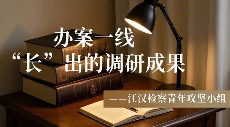 办案一线“长”出的调研成果——江汉检察青年攻坚小组交出首份答卷