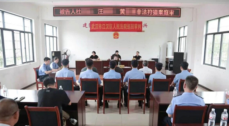 法典施行前一天，这场“家门口”的生态庭审敲响警钟